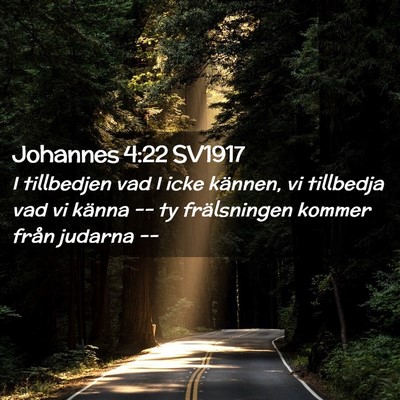 Picture 02 - Johannes 4:22 SV1917 - I tillbedjen vad I icke kännen, vi tillbedja vad - Bible Verse Picture