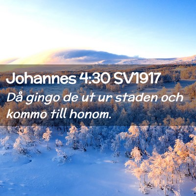 Picture 02 - Johannes 4:30 SV1917 - Då gingo de ut ur staden och kommo till - Bible Verse Picture