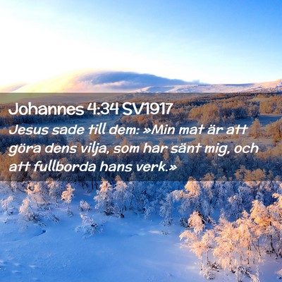 Picture 02 - Johannes 4:34 SV1917 - Jesus sade till dem: »Min mat är att göra dens - Bible Verse Picture