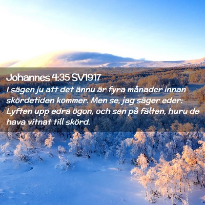 Picture 02 - Johannes 4:35 SV1917 - I sägen ju att det ännu är fyra månader innan - Bible Verse Picture