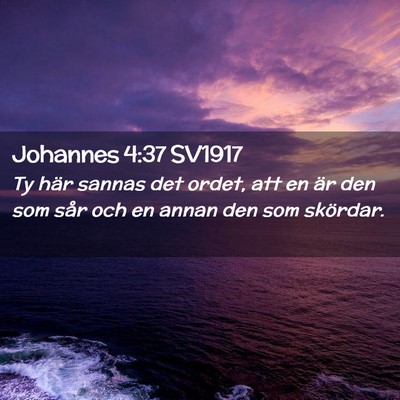 Picture 02 - Johannes 4:37 SV1917 - Ty här sannas det ordet, att en är den som sår - Bible Verse Picture