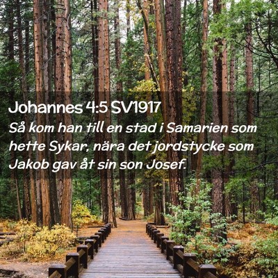Picture 02 - Johannes 4:5 SV1917 - Så kom han till en stad i Samarien som hette - Bible Verse Picture