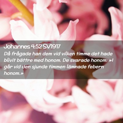 Picture 02 - Johannes 4:52 SV1917 - Då frågade han dem vid vilken timme det hade - Bible Verse Picture