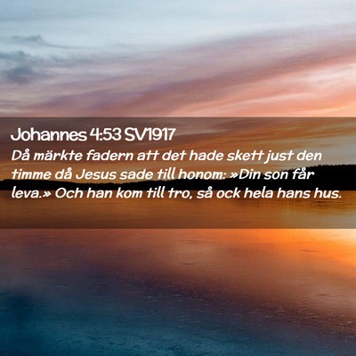 Picture 02 - Johannes 4:53 SV1917 - Då märkte fadern att det hade skett just den - Bible Verse Picture