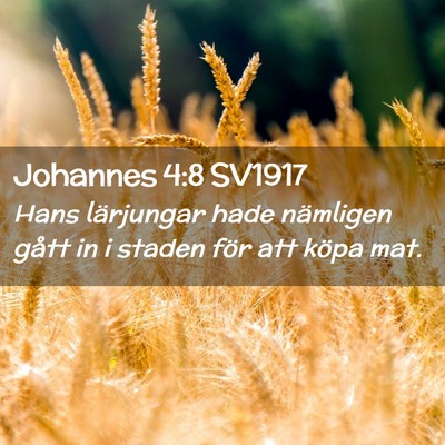Picture 02 - Johannes 4:8 SV1917 - Hans lärjungar hade nämligen gått in i staden - Bible Verse Picture