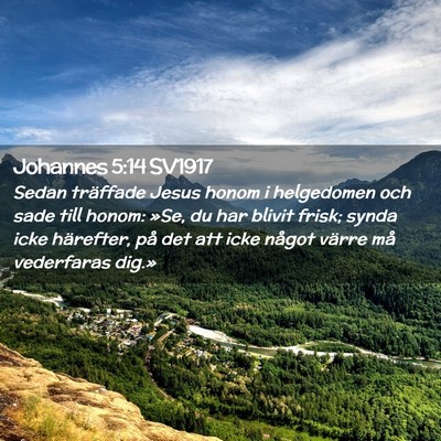 Picture 02 - Johannes 5:14 SV1917 - Sedan träffade Jesus honom i helgedomen och sade - Bible Verse Picture
