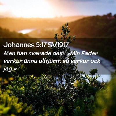 Picture 02 - Johannes 5:17 SV1917 - Men han svarade dem: »Min Fader verkar ännu - Bible Verse Picture