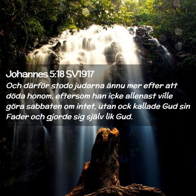 Picture 02 - Johannes 5:18 SV1917 - Och därför stodo judarna ännu mer efter att - Bible Verse Picture