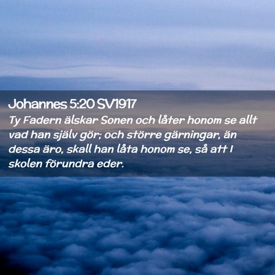 Picture 02 - Johannes 5:20 SV1917 - Ty Fadern älskar Sonen och låter honom se allt - Bible Verse Picture