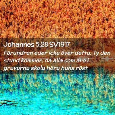 Picture 02 - Johannes 5:28 SV1917 - Förundren eder icke över detta. Ty den stund - Bible Verse Picture