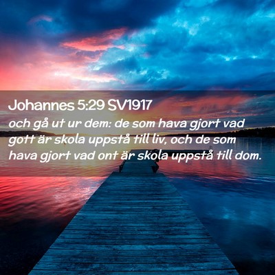 Picture 02 - Johannes 5:29 SV1917 - och gå ut ur dem: de som hava gjort vad gott är - Bible Verse Picture