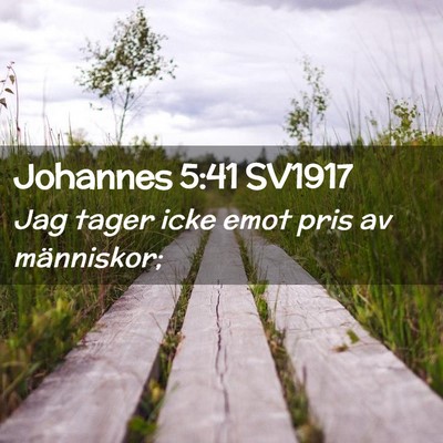 Picture 02 - Johannes 5:41 SV1917 - Jag tager icke emot pris av - Bible Verse Picture