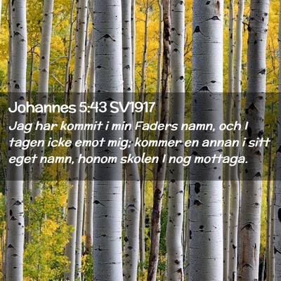 Picture 02 - Johannes 5:43 SV1917 - Jag har kommit i min Faders namn, och I tagen - Bible Verse Picture