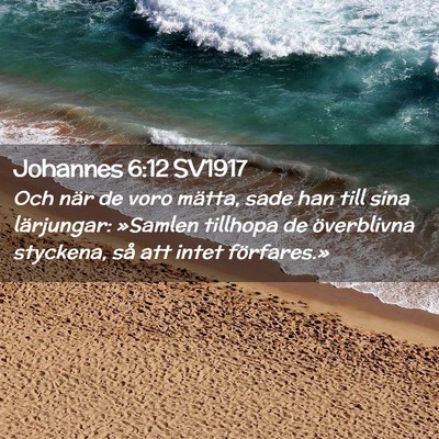 Picture 02 - Johannes 6:12 SV1917 - Och när de voro mätta, sade han till sina - Bible Verse Picture