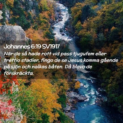 Picture 02 - Johannes 6:19 SV1917 - När de så hade rott vid pass tjugufem eller - Bible Verse Picture