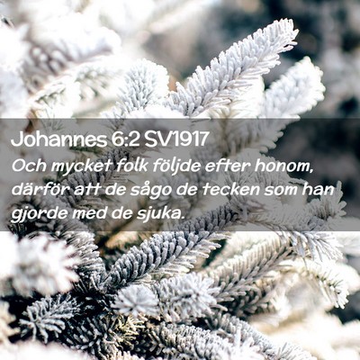 Picture 02 - Johannes 6:2 SV1917 - Och mycket folk följde efter honom, därför att - Bible Verse Picture