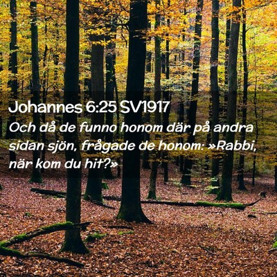 Picture 02 - Johannes 6:25 SV1917 - Och då de funno honom där på andra sidan - Bible Verse Picture