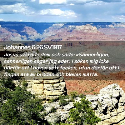 Picture 02 - Johannes 6:26 SV1917 - Jesus svarade dem och sade: »Sannerligen, - Bible Verse Picture