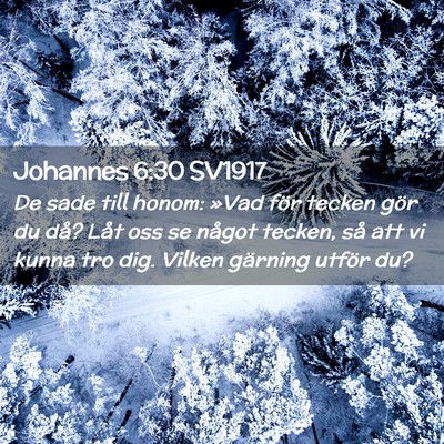 Picture 02 - Johannes 6:30 SV1917 - De sade till honom: »Vad för tecken gör du - Bible Verse Picture