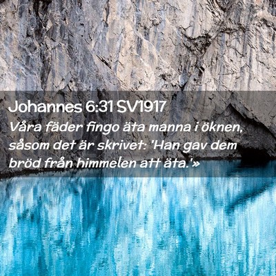 Picture 02 - Johannes 6:31 SV1917 - Våra fäder fingo äta manna i öknen, såsom - Bible Verse Picture