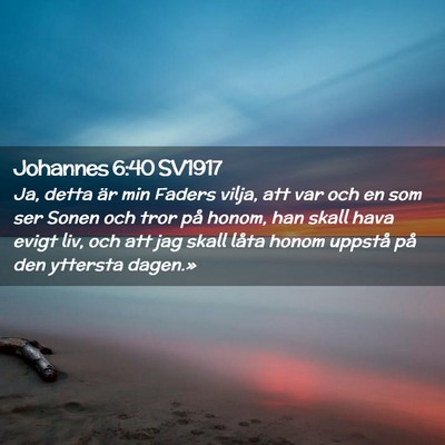 Picture 02 - Johannes 6:40 SV1917 - Ja, detta är min Faders vilja, att var och en - Bible Verse Picture