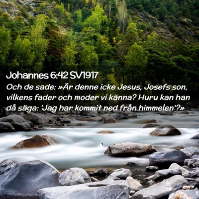 Picture 02 - Johannes 6:42 SV1917 - Och de sade: »Är denne icke Jesus, Josefs son, - Bible Verse Picture