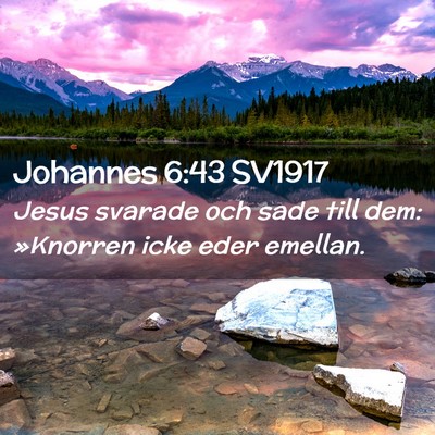 Picture 02 - Johannes 6:43 SV1917 - Jesus svarade och sade till dem: »Knorren icke - Bible Verse Picture