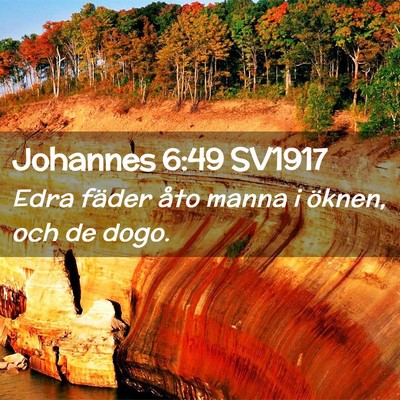 Picture 02 - Johannes 6:49 SV1917 - Edra fäder åto manna i öknen, och de - Bible Verse Picture