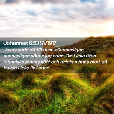 Picture 02 - Johannes 6:53 SV1917 - Jesus sade då till dem: »Sannerligen, - Bible Verse Picture