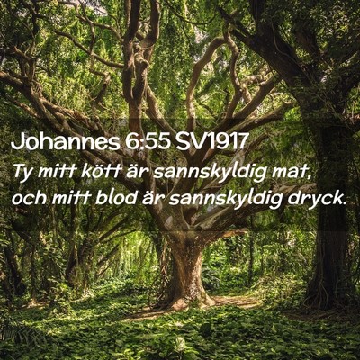 Picture 02 - Johannes 6:55 SV1917 - Ty mitt kött är sannskyldig mat, och mitt blod - Bible Verse Picture