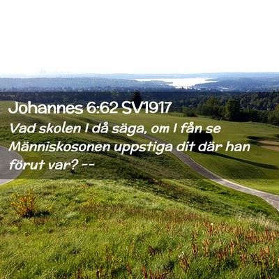 Picture 02 - Johannes 6:62 SV1917 - Vad skolen I då säga, om I fån se - Bible Verse Picture