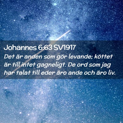 Picture 02 - Johannes 6:63 SV1917 - Det är anden som gör levande; köttet är till - Bible Verse Picture