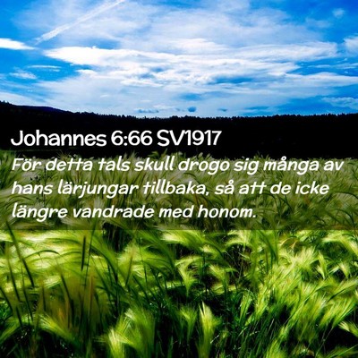 Picture 02 - Johannes 6:66 SV1917 - För detta tals skull drogo sig många av hans - Bible Verse Picture