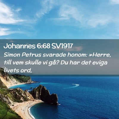 Picture 02 - Johannes 6:68 SV1917 - Simon Petrus svarade honom: »Herre, till vem - Bible Verse Picture