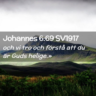 Picture 02 - Johannes 6:69 SV1917 - och vi tro och förstå att du är Guds - Bible Verse Picture