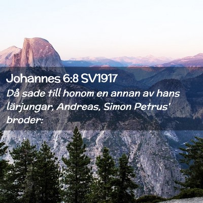 Picture 02 - Johannes 6:8 SV1917 - Då sade till honom en annan av hans lärjungar, - Bible Verse Picture