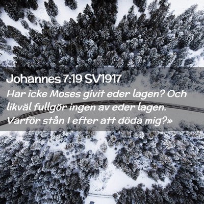 Picture 02 - Johannes 7:19 SV1917 - Har icke Moses givit eder lagen? Och likväl - Bible Verse Picture