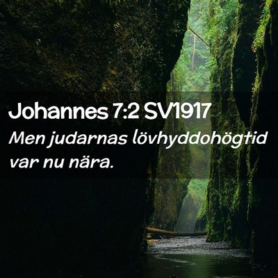 Picture 02 - Johannes 7:2 SV1917 - Men judarnas lövhyddohögtid var nu - Bible Verse Picture