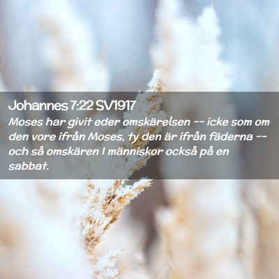 Picture 02 - Johannes 7:22 SV1917 - Moses har givit eder omskärelsen -- icke som om - Bible Verse Picture