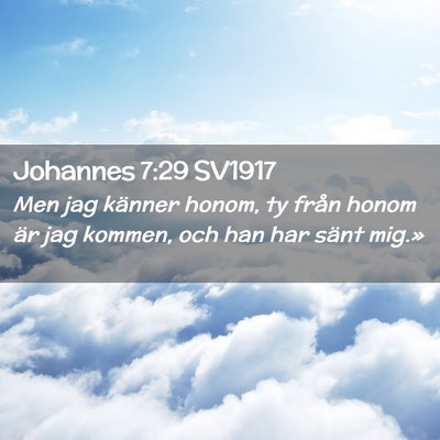 Picture 02 - Johannes 7:29 SV1917 - Men jag känner honom, ty från honom är jag - Bible Verse Picture