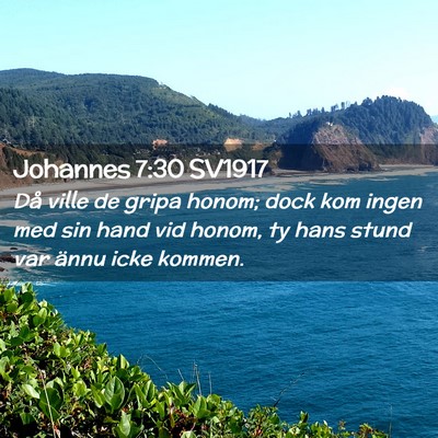 Picture 02 - Johannes 7:30 SV1917 - Då ville de gripa honom; dock kom ingen med sin - Bible Verse Picture