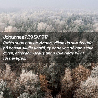 Picture 02 - Johannes 7:39 SV1917 - Detta sade han om Anden, vilken de som trodde på - Bible Verse Picture