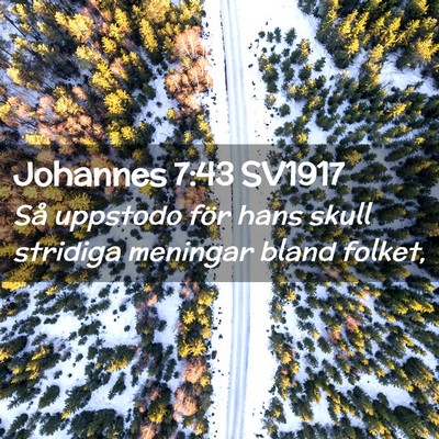 Picture 02 - Johannes 7:43 SV1917 - Så uppstodo för hans skull stridiga meningar - Bible Verse Picture