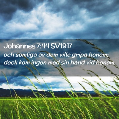 Picture 02 - Johannes 7:44 SV1917 - och somliga av dem ville gripa honom; dock kom - Bible Verse Picture