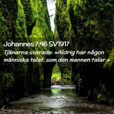 Picture 02 - Johannes 7:46 SV1917 - Tjänarna svarade: »Aldrig har någon människa - Bible Verse Picture