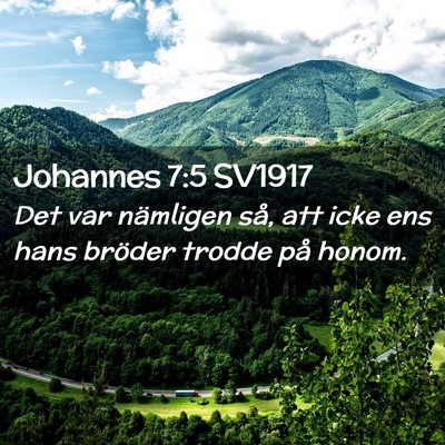 Picture 02 - Johannes 7:5 SV1917 - Det var nämligen så, att icke ens hans bröder - Bible Verse Picture
