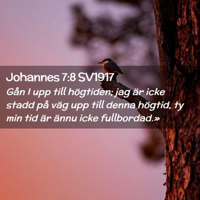 Picture 02 - Johannes 7:8 SV1917 - Gån I upp till högtiden; jag är icke stadd på - Bible Verse Picture