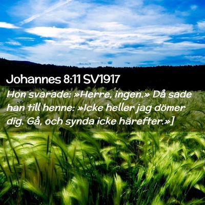 Picture 02 - Johannes 8:11 SV1917 - Hon svarade: »Herre, ingen.» Då sade han till - Bible Verse Picture