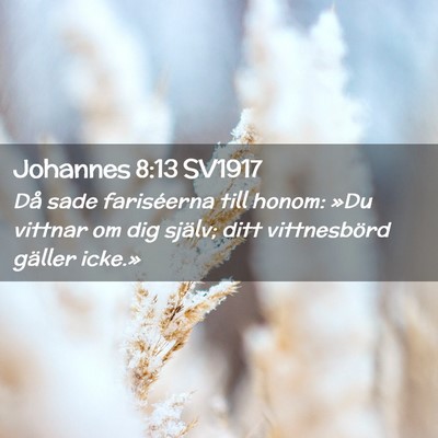 Picture 02 - Johannes 8:13 SV1917 - Då sade fariséerna till honom: »Du vittnar om - Bible Verse Picture