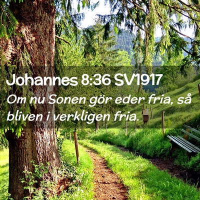 Picture 02 - Johannes 8:36 SV1917 - Om nu Sonen gör eder fria, så bliven i - Bible Verse Picture